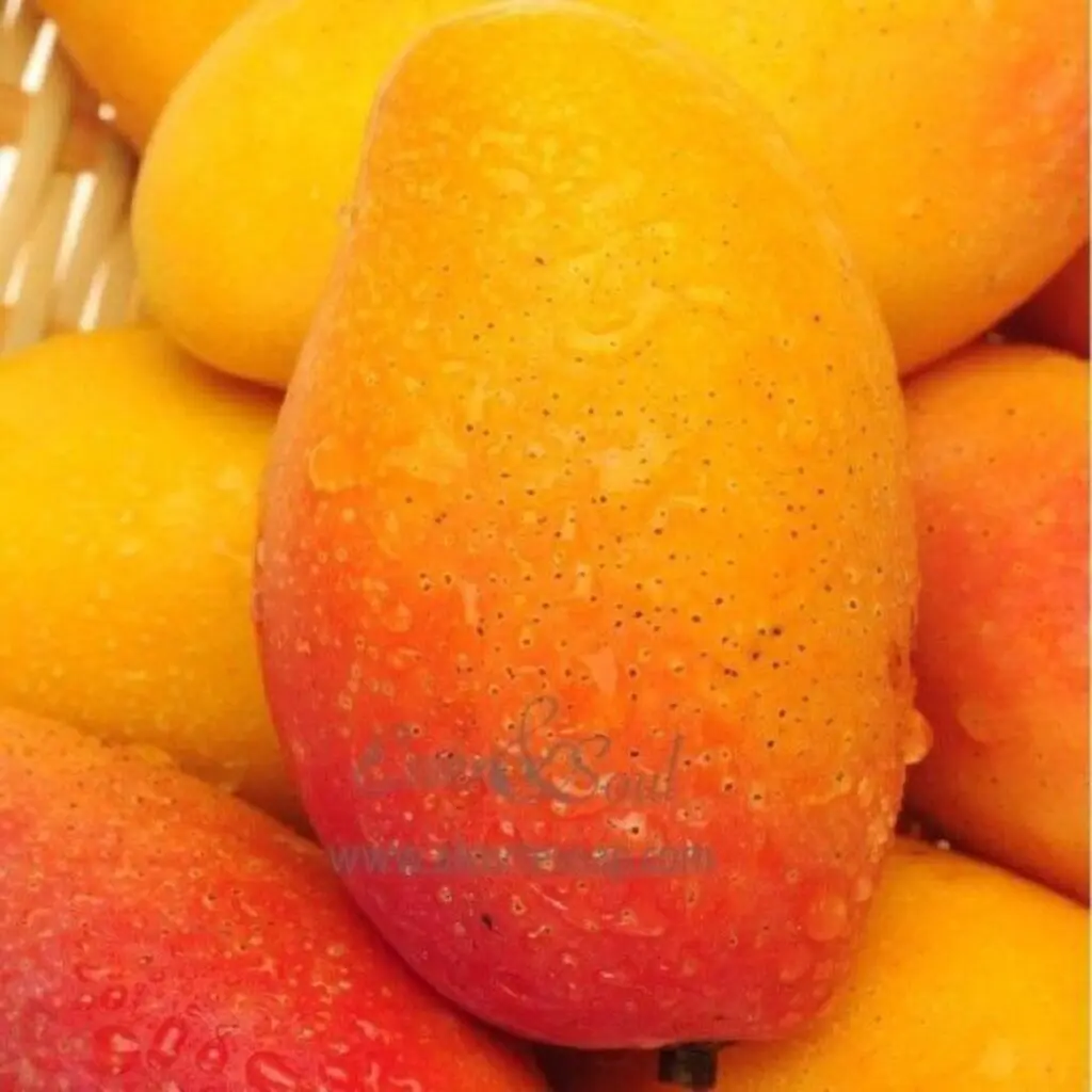 Mikado mango eco jinyolanda.es 