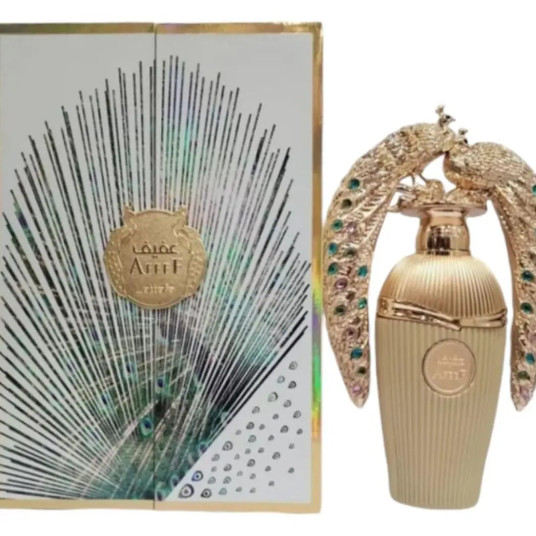 Diseno sin titulo 2024 10 27T220624.780