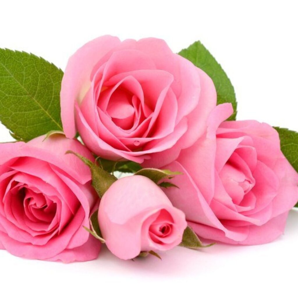 Ambientador Mikado Rosas